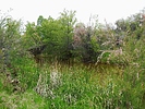 photo thumbnail #13