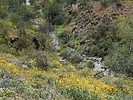 Featured Full Photo