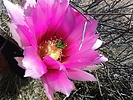 photo thumbnail #9