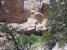 Featured Full Photo
