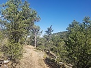 photo thumbnail #4