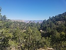 photo thumbnail #5