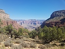 photo thumbnail #10