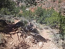 photo thumbnail #14