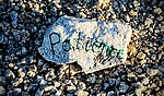 photo thumbnail #9