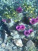 photo thumbnail #7