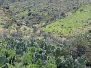 photo thumbnail #14