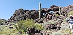 photo thumbnail #3