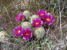 photo thumbnail #14