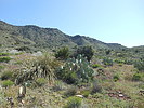 photo thumbnail #6