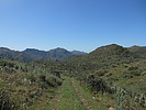 photo thumbnail #8
