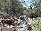 photo thumbnail #11