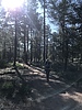 photo thumbnail #1