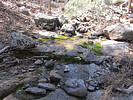 photo thumbnail #3