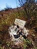 photo thumbnail #12