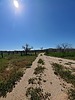photo thumbnail #15
