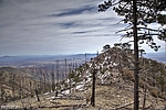 photo thumbnail #14