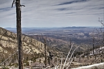 photo thumbnail #15
