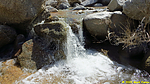 photo thumbnail #14