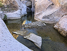 photo thumbnail #2