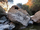 photo thumbnail #8