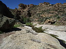 photo thumbnail #10
