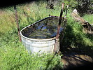 2020-04-04 :1: Wood Canyon White Canyon Loop :: trekkin_gecko