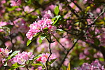 photo thumbnail #12