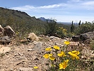photo thumbnail #8