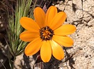 photo thumbnail #9