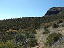 photo thumbnail #14
