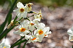 photo thumbnail #8