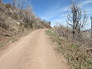 photo thumbnail #8