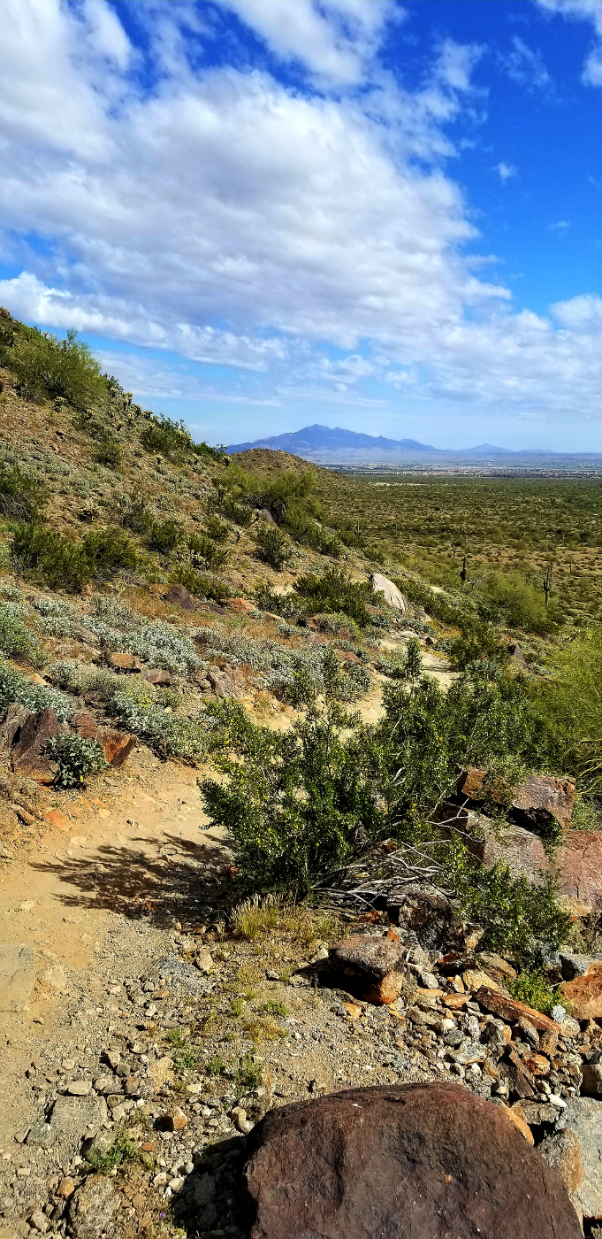 Turnbuckle Trail Skyline RP, AZ HikeArizona