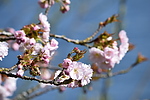 photo thumbnail #11