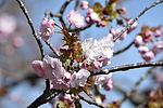 photo thumbnail #14