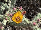 photo thumbnail #11