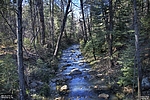 photo thumbnail #13