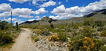2020-04-09 :1: Granite Falls Trail - Skyline RP :: joebartels