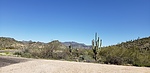 photo thumbnail #1