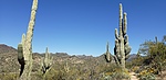 photo thumbnail #3