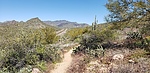 photo thumbnail #6