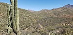 photo thumbnail #9