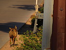 photo thumbnail #5