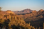 photo thumbnail #8