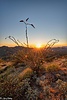 photo thumbnail #12