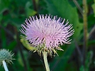 photo thumbnail #8