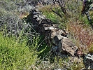 photo thumbnail #14