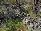 photo thumbnail #15