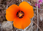 photo thumbnail #12